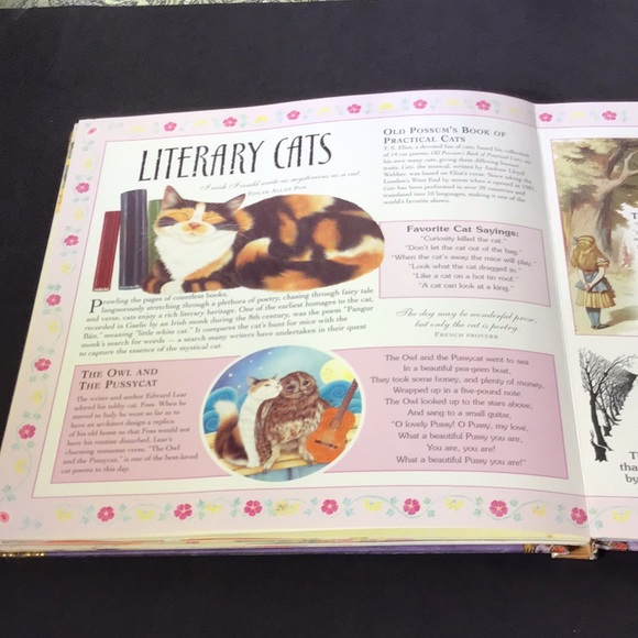 Catopia A Cat Compendium Big book of cat treasures & fun by Anne Mortimer 2007 - Picture 11 of 16